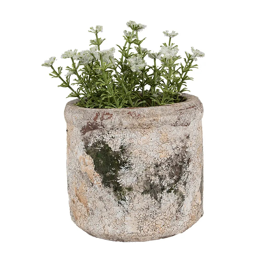 Blomsterpotte i terrakotta – beige & grønn Ø12 cm