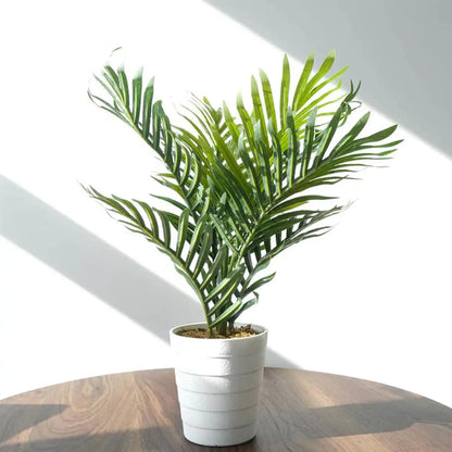 Kunstig Minipalme – 50 cm